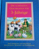 Buch für 3 jährige Kinder Schleswig-Holstein - Wewelsfleth Vorschau