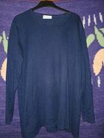 toller blauer Ulla Popken Feinstrick Pullover Gr. 46/48 Niedersachsen - Helmstedt Vorschau