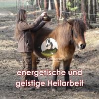 energetische, geistige Heilarbeit - Tierenergetik, Pferd Sachsen - Boxberg / Oberlausitz Vorschau