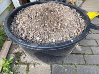 GRATIS Kiesel für Garten Stellfläche Fundamentbau… Niedersachsen - Oldenburg Vorschau