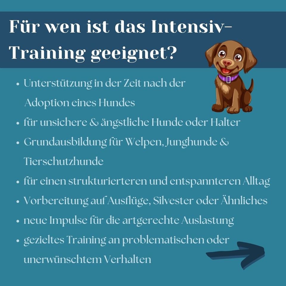 Intensiv-Trainings-Paket: monatelange Betreuung bis zu einem Jahr in Schkeuditz