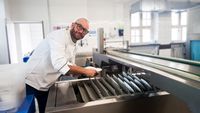 Spülkraft/Spülhilfe für Essener Großküche ab 13,50€/Std Essen - Essen-Stadtmitte Vorschau
