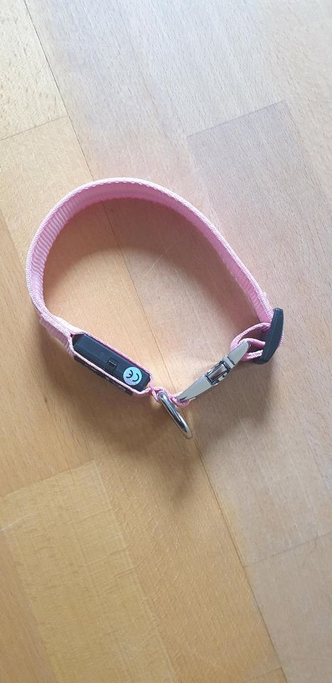 Hundehalsband leuchten blinkend Neu Leuchthalsband Pink S Hunde in Hamburg