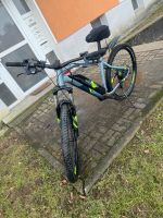 Elektro Fahrrad grau Nordrhein-Westfalen - Lüdenscheid Vorschau