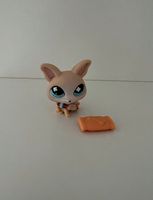 Littlest Pet Shop Spielfigur Hund Chihuahua #837 Sammelfigur LPS Hessen - Hanau Vorschau