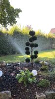 Gartenbewässerung Brunnenbohrung Garten Grundwasser Dortmund - Grevel Vorschau