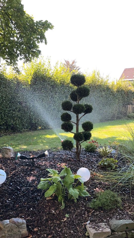 Gartenbewässerung Brunnenbohrung Garten Grundwasser in Dortmund