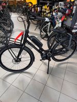 E-Bike Elektrofahrrad Batavus Quip Kult Bike Bosch Antrieb Schleswig-Holstein - Flintbek Vorschau