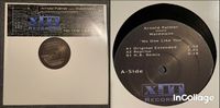 Arnold Palmer Meets Waldmann-No One Like You 12"Vinyl Progressive Sachsen-Anhalt - Zörbig Vorschau