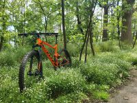 Scott Spark 960 MTB Fahrrad Hannover - Mitte Vorschau