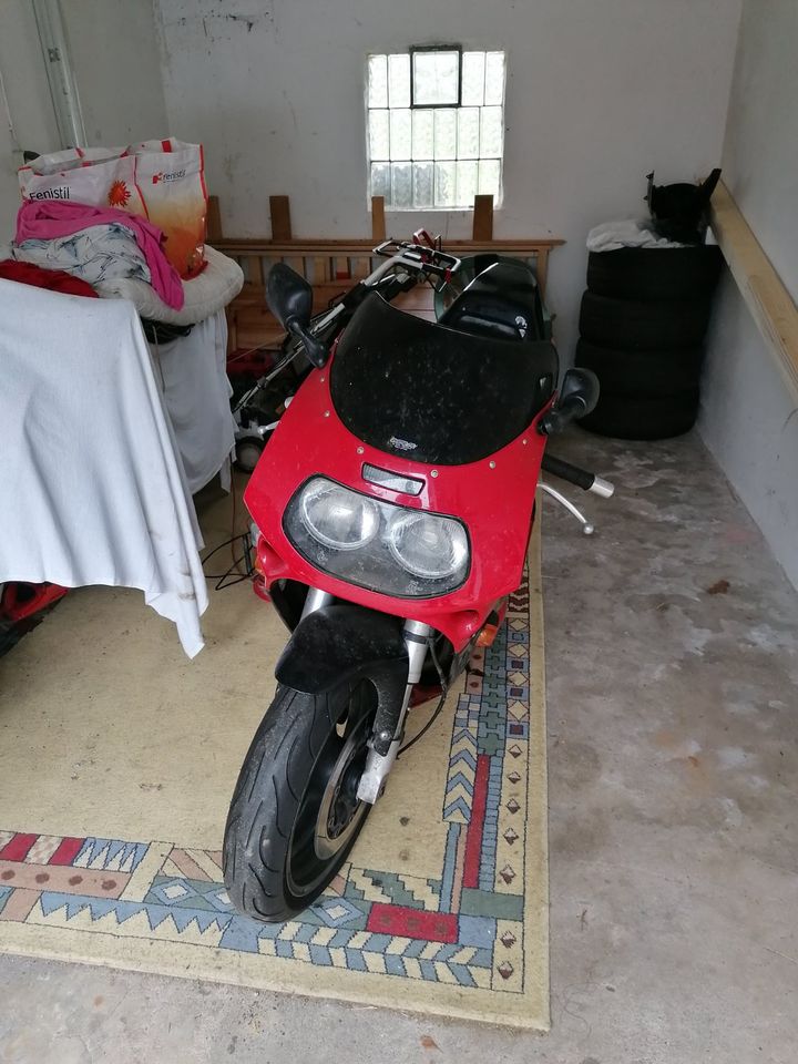 Suzuki Gsxr 1100 in Wohlde