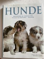 Hunde-Buch Hunde - Erziehung &  Verhalten Mecklenburg-Strelitz - Landkreis - Neverin Vorschau