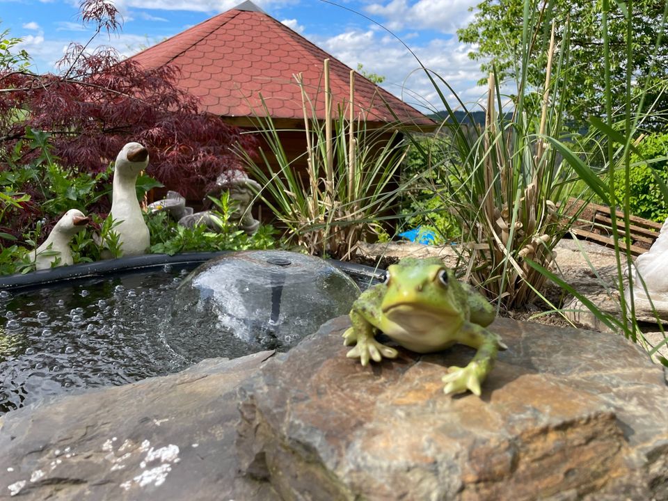 Frosch Kröte Froschkönig Deko Teich Teich Gartenfigur Laubfrosch in Waldbreitbach