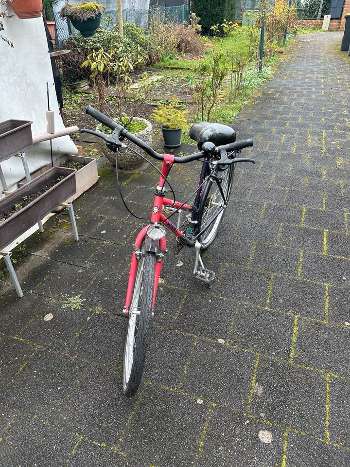 Damen Fahrrad in Offenbach