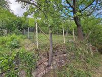 Stück Himmel auf Erden - atemberaubendes Freizeitgrundstück Baden-Württemberg - Tübingen Vorschau