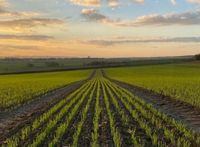 Landwirtschaftliche Fläche (Acker/Wiese), sehr hohe Pacht Baden-Württemberg - Kreßberg Vorschau