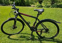 Bergamont Helix 4.3 Cross Bike Fahrrad Nordrhein-Westfalen - Rüthen Vorschau