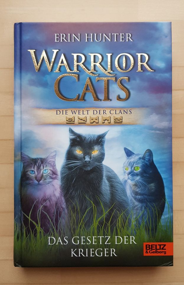 Warriors Cats Sammlung in sehr gutem Zustand in Kindsbach