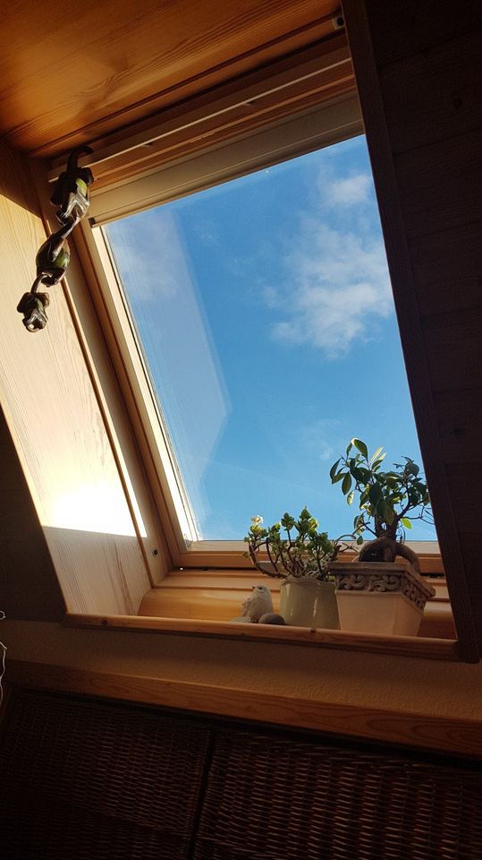 VELUX GPL Dachfenster in Wickershain (Geithain)