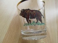 Wildschwein Keiler Glas Hessen - Baunatal Vorschau