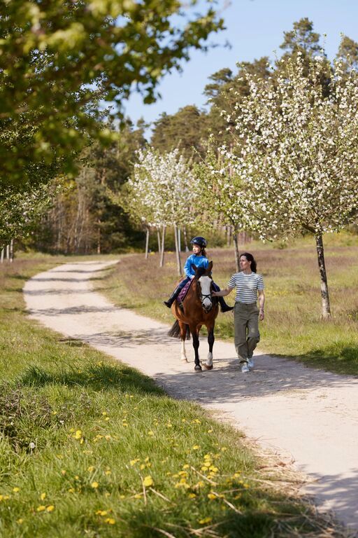 Sommerurlaub | Familienspecial inkl. HP | Kinder reisen gratis in Linstow