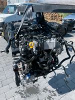 Motor VW Seat Skoda 2.0 TDI CUN CUNA 184PS komplett Rheinland-Pfalz - Waldalgesheim Vorschau