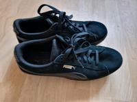 PUMA Sneaker gr 42 Neu Leder Sachsen - Adorf-Vogtland Vorschau