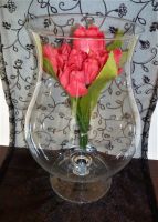 Kerzenpokal 32cm Glaspokal Pokal Vase Glas groß Wie Neu Nordrhein-Westfalen - Gütersloh Vorschau