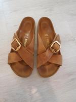 Birkenstock Siena braun cognac Gold big Buckle  40 normale Weite Düsseldorf - Vennhausen Vorschau
