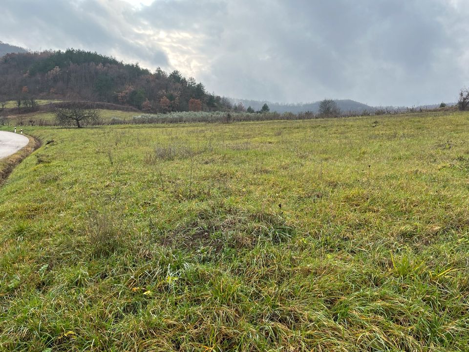 Grundstück in Traumlage - Seeblick - Istrien - Kroatien in Lippstadt