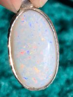 Opal Anhänger Schleswig-Holstein - Leck Vorschau