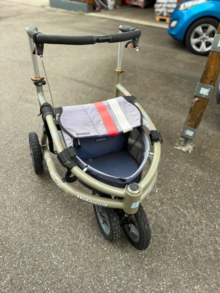 Einen Trionic Rollator in Zell unter Aichelberg