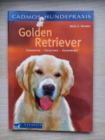Sachbuch "Golden Retriever, Charakter - Erziehung - Gesundheit" Pritzwalk - Falkenhagen Vorschau