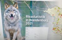 Vortrag Wolf Wolfsschutz Brabdenburg Brandenburg - Rüdersdorf Vorschau