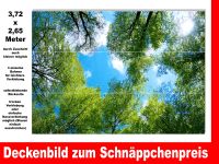 Deckenbild - Klebefolie z.B. für Wintergarten - NP 301 für nur 99 Baden-Württemberg - Buchen (Odenwald) Vorschau