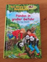 Das magische Baumhaus/ Pandas in großer Gefahr Bayern - Eichenau Vorschau