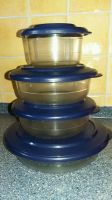 Tupperware Servier Schalen * 4er Set Baden-Württemberg - Titisee-Neustadt Vorschau