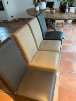 Esszimmer Stühle hochwertig Leder 4 Stück Nordrhein-Westfalen - Neuss Vorschau