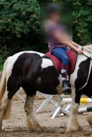 Kind (12) Reitbeteiligung Hessen - Mörfelden-Walldorf Vorschau