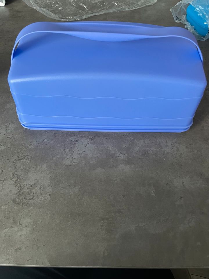 Neu Tupperware Tortenbehälter/box Kastenform in Castrop-Rauxel