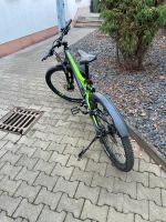 Bulls Fahrrad 29 Zoll Sachsen - Weinböhla Vorschau