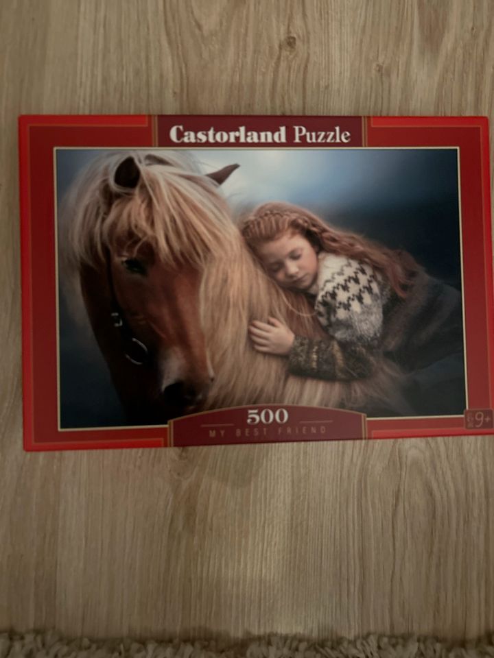 Harry Potter und Castorland Puzzle in Stuttgart