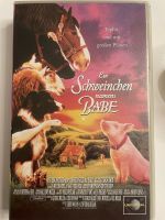 VHS „Ein Schweinchen namens Babe“ Östliche Vorstadt - Peterswerder Vorschau