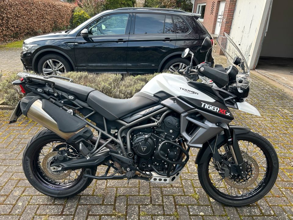 Triumph Tiger 800 XCX in Bünde