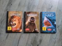 Raubtieren ganz Nahe, Haie, Paviane, Löwen 3 DVD's Bayern - Kempten Vorschau