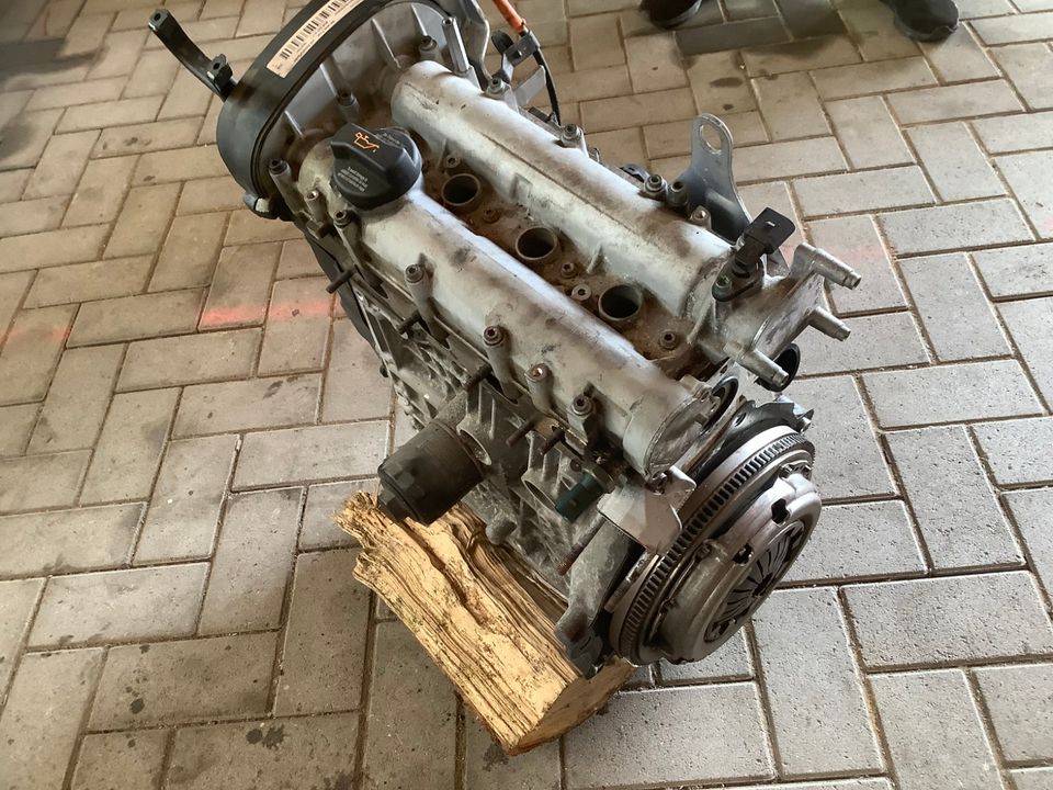 Motor BCA 1,4 Benzin VW New Beetle 1Y Cabrio 1c 9c 158012km in Lengerich