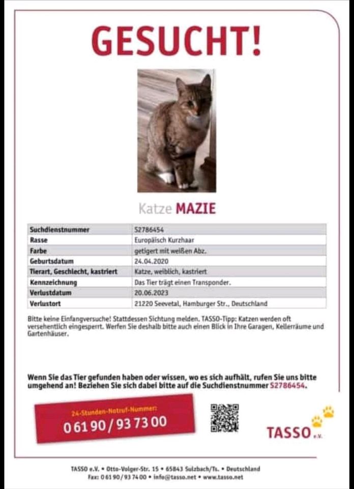 Katze Mazie in 21220 Maschen vermisst in Seevetal