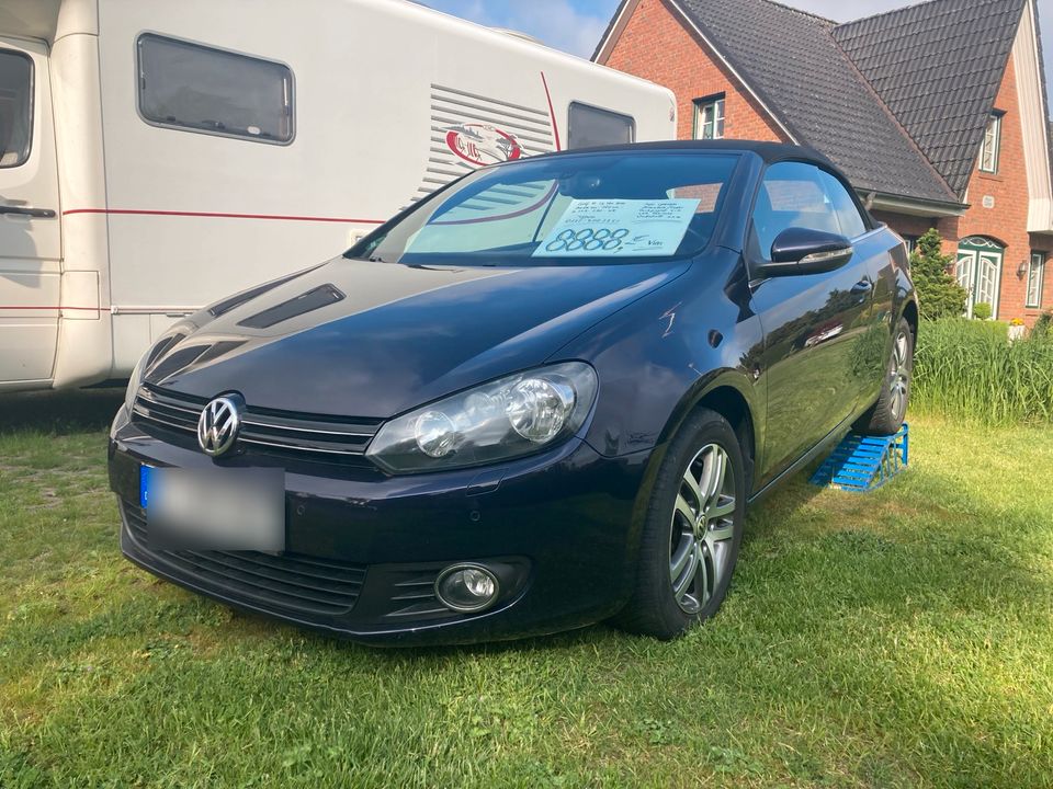 Golf Cabrio TDI BMT in Brande-Hörnerkirchen