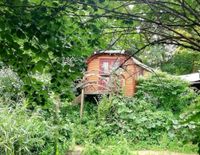 Garten/Stellplatz/Miete/Land-WG gern auch gegen Hand Kiel - Schreventeich-Hasseldieksdamm Vorschau