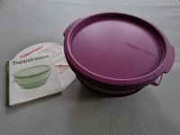 Tupperware Dampfgarer MicroGourmet für Mikrowelle Microwave lila Bayern - Mömbris Vorschau